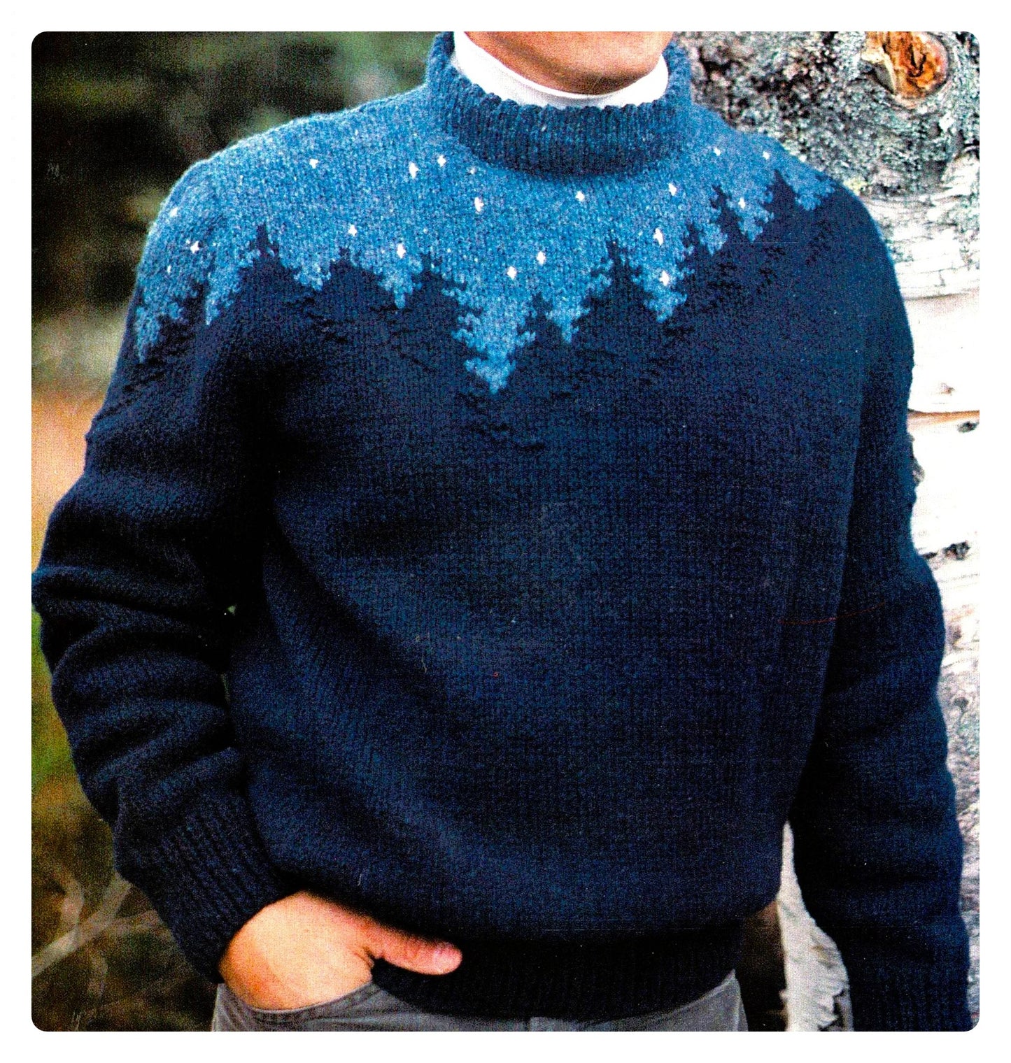 Vintage Knitting Pattern Starry Night Picture Sweater PDF Instant Digital Download His Hers Adult Unisex Northern Mountains Trees Skyline