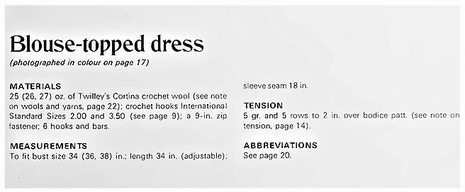Vintage Crochet Pattern Womens Pretty Blouse Topped Dress PDF Instant Digital Download Cinched Waist Treble Shell Stitch 4 Ply 1971