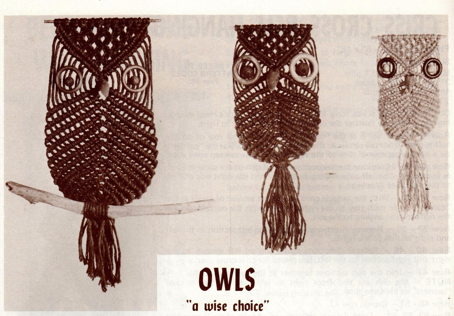 Vintage Macrame Pattern If You Can Tie A Shoestring You Can Do Macrame PDF Instant Digital Download Beginners Easy Projects Owls Jewelry