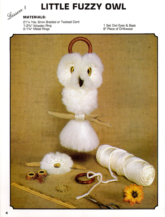 Vintage Learn To Macrame Patterns School House How To for Beginners Lessons Easy Projects Step By Step PDF Instant Digital Download