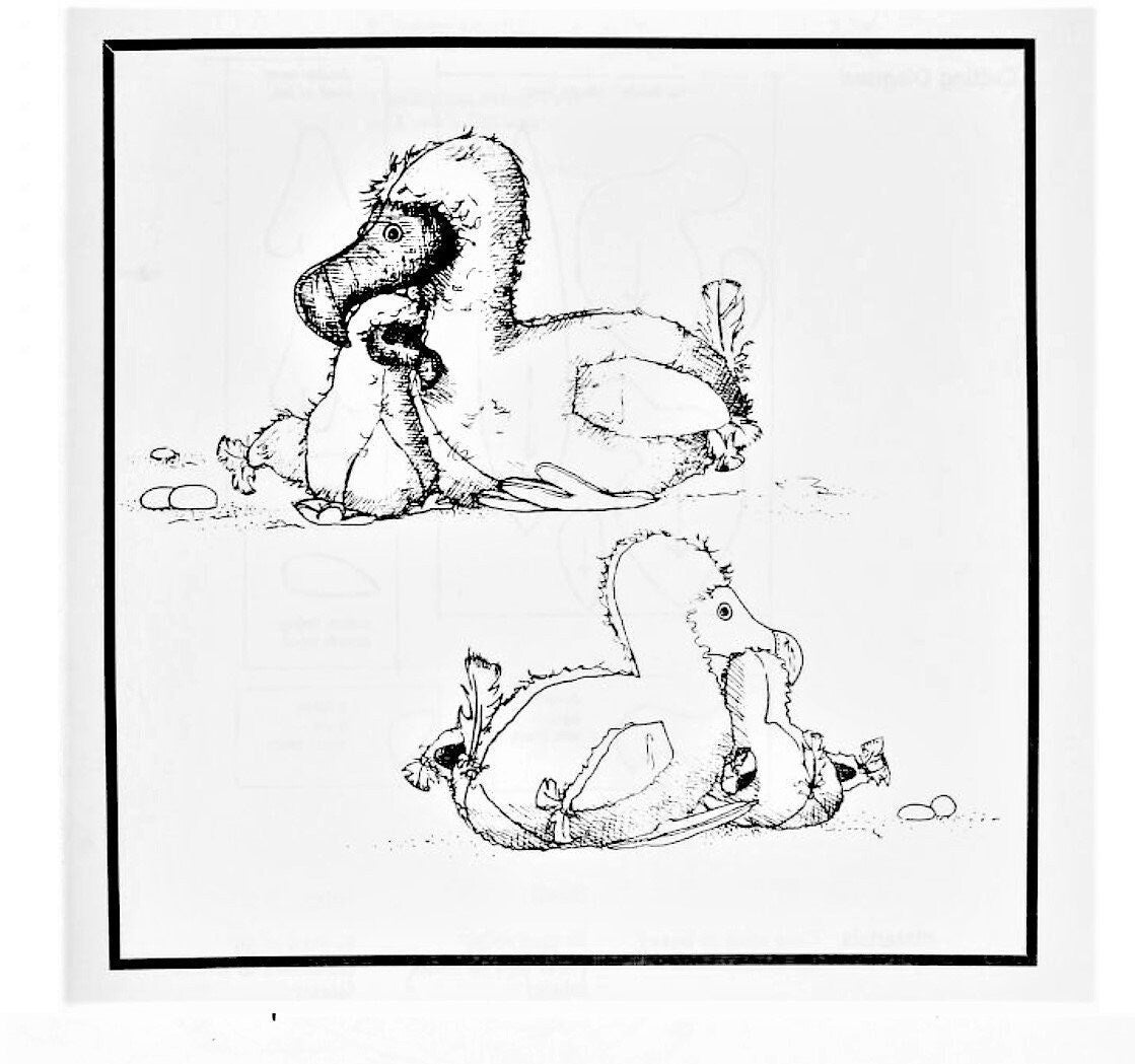 Vintage Sewing Pattern Dodo Bird Family Mama and Baby Faux Fur Fabric Soft Sculpture Plush Toys PDF Instant Digital Download