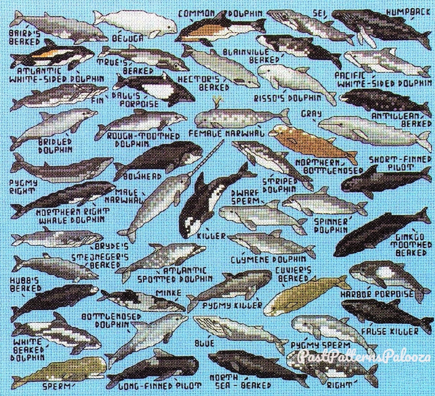 Vintage Cross Stitch Patterns Mini Marine Animals Motifs Dolphins Whales Beluga Narwhal PDF Instant Digital Download Ocean Embroidery A1