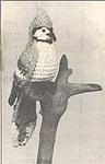 Vintage Crochet Pattern 11" Blue Jay Bird Soft Toy Doll PDF Instant Digital Download Winter Bird Realistic Stuffed Amigurumi Bird 4 Ply