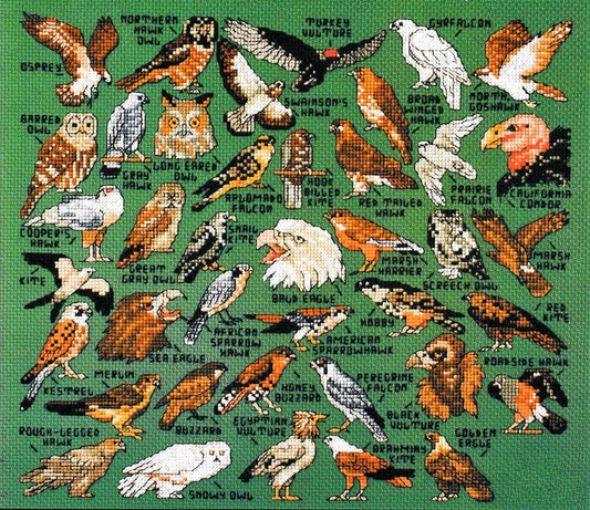Vintage Cross Stitch Patterns Mini Birds of Prey Motifs PDF Instant Digital Download Miniature Owls Hawks Falcons Embroidery Designs 1-3" A1