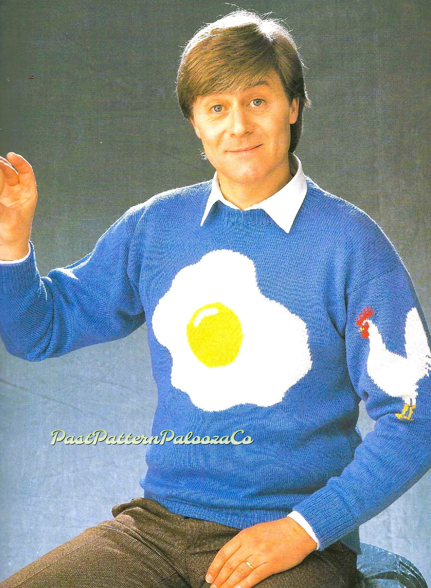 Vintage Knitting Pattern Sunny Side Up Egg and Chicken Sweater PDF Instant Digital Download Womens Mens Adults Funny Novelty Jumper 4 Ply