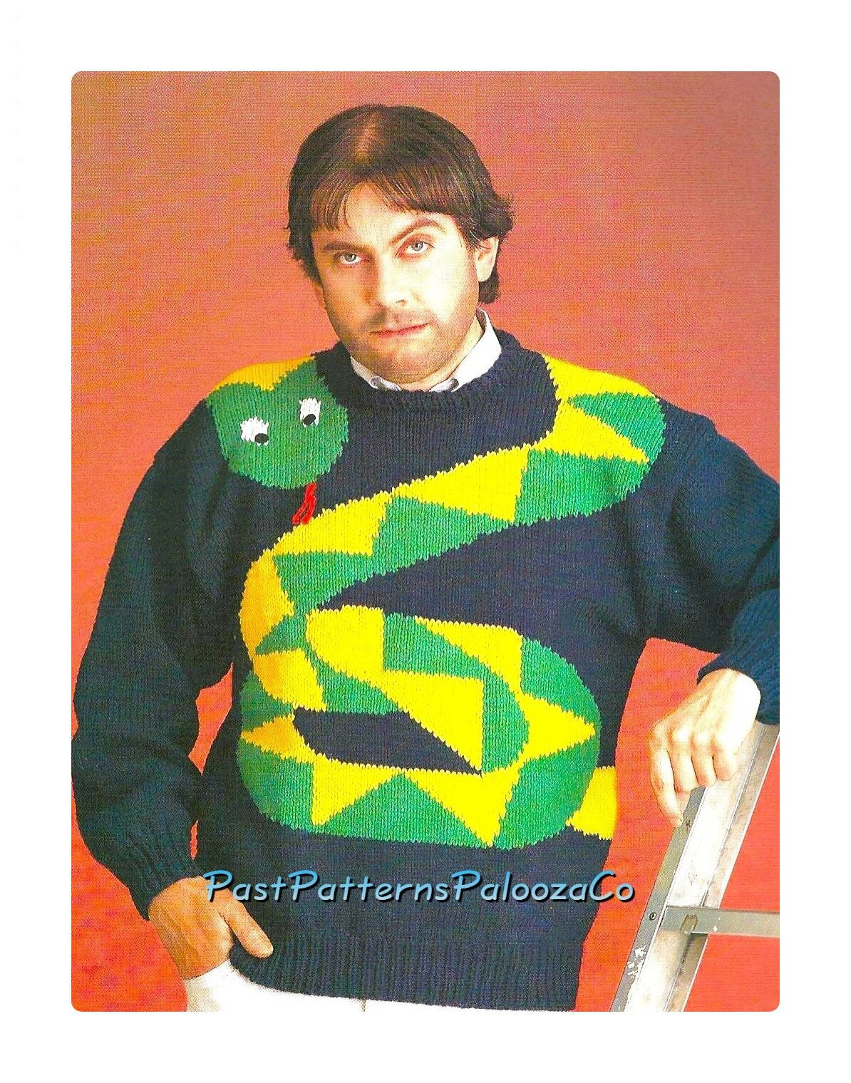 Vintage Knitting Pattern Snake Sweater PDF Instant Digital Download Womens Mens Adults Funny Novelty Jumper 10 Ply 34-44 in