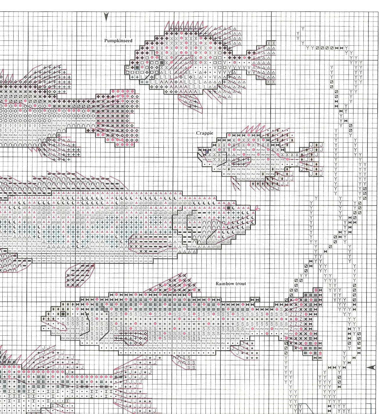 Vintage Fish Sampler Cross Stitch Pattern 9 Freshwater Fish PDF Instant Digital Download Embroidery Fishing Motifs Gift For Angler