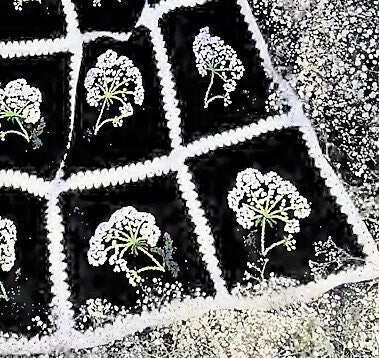 Vintage Crochet Pattern Queen Annes Lace Flower Afghan Pillow Set PDF Instant Digital Download French Knots Wildflower Squares 10 Ply