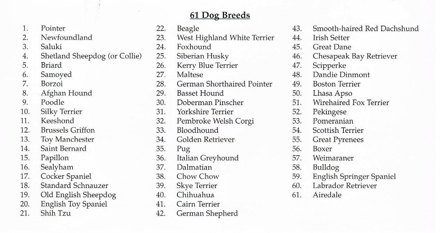 Vintage Cross Stitch Patterns Puppy Dog Breeds Motifs PDF Instant Digital Download Embroidery 60 Mini Purebred Dogs Designs A1