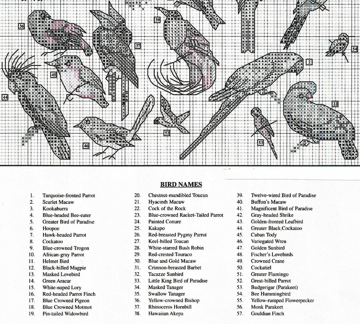 Vintage Cross Stitch Patterns Mini Exotic Birds Motifs PDF Instant Digital Download Embroidery Rainforest Tropical Bird Designs 1-3" A1