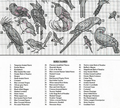 Vintage Cross Stitch Patterns Mini Exotic Birds Motifs PDF Instant Digital Download Embroidery Rainforest Tropical Bird Designs 1-3" A1