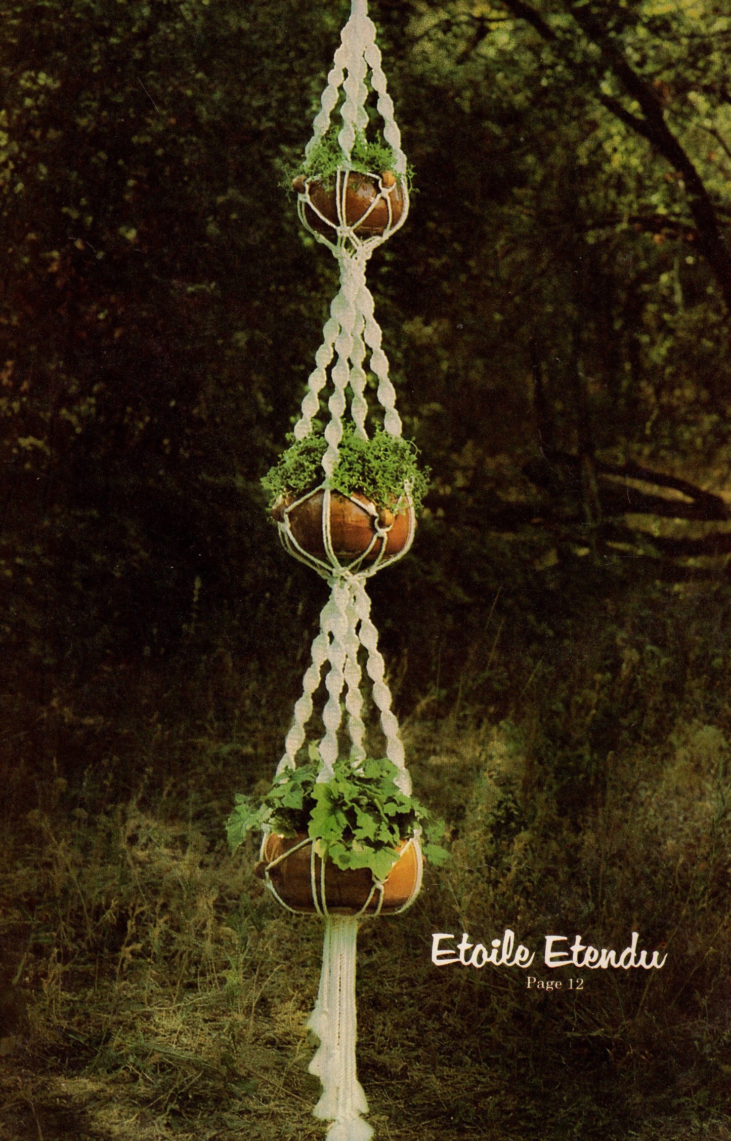 Vintage Macrame Elegance V Patterns Book PDF Instant Digital Download 20 Projects 1970s Wall Art Pot Hangers Plant Holders Knotwork
