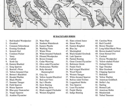 Vintage Cross Stitch Patterns Mini North American Birds Motifs PDF Instant Digital Download Embroidery 85 Back Yard Bird Designs 1-3" A1