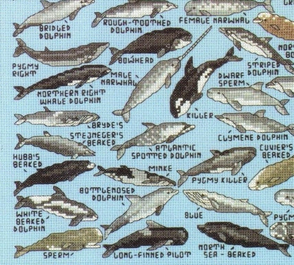 Vintage Cross Stitch Patterns Mini Marine Animals Motifs Dolphins Whales Beluga Narwhal PDF Instant Digital Download Ocean Embroidery A1