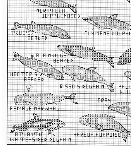 Vintage Cross Stitch Patterns Mini Marine Animals Motifs Dolphins Whales Beluga Narwhal PDF Instant Digital Download Ocean Embroidery A1