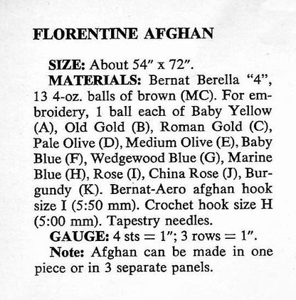 Vintage Crochet Pattern Florentine Chevron Ripple Afghan PDF Instant Digital Download Embroidered Jewel Tones Tunisian Stitch 54x72 10 Ply