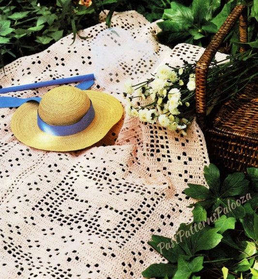 Vintage Filet Crochet Pattern Butterflies Squares Chenille Afghan Instant Digital Download Butterfly Throw Blanket 43x58 10 Ply