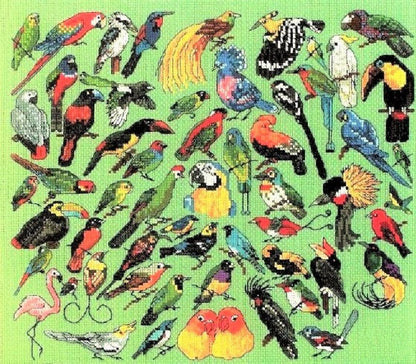 Vintage Cross Stitch Patterns Mini Exotic Birds Motifs PDF Instant Digital Download Embroidery Rainforest Tropical Bird Designs 1-3" A1