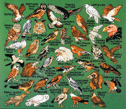 Vintage Cross Stitch Patterns Mini Birds of Prey Motifs PDF Instant Digital Download Miniature Owls Hawks Falcons Embroidery Designs 1-3" A1