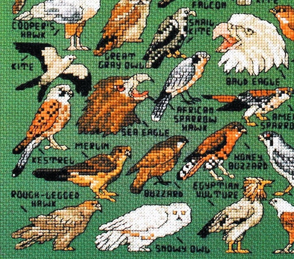 Vintage Cross Stitch Patterns Mini Birds of Prey Motifs PDF Instant Digital Download Miniature Owls Hawks Falcons Embroidery Designs 1-3" A1